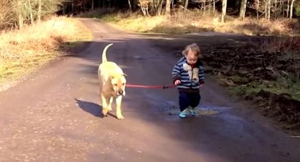 3.30.17 Two Year Old Takes Dog for a Walk