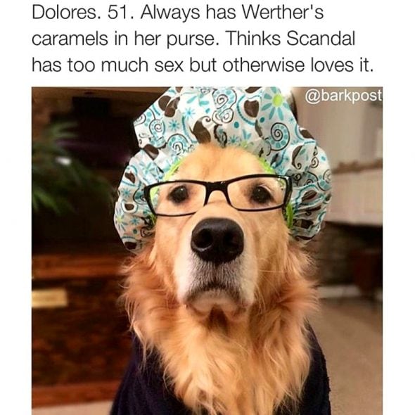 3.6.17 Dog Bio Memes19