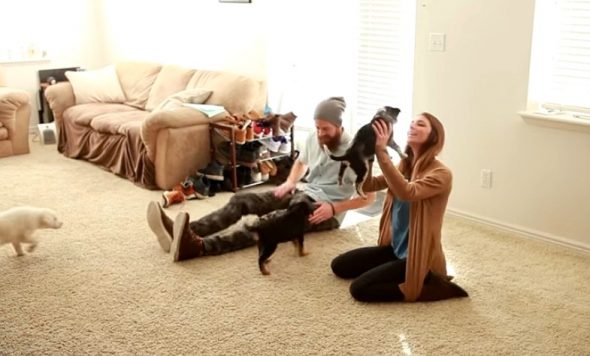 4.12.17 Husband Surprises His Wife With a Houseful of Rescue Puppies2