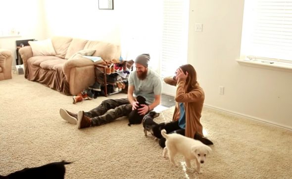 4.12.17 Husband Surprises His Wife With a Houseful of Rescue Puppies3