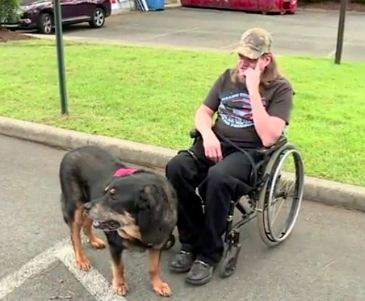 4.19.17 Disabled Man Cries When Hes Given Service Dog for Easter2