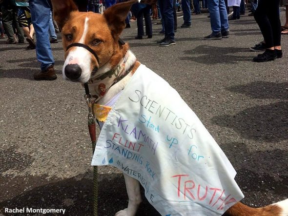 4.24.17 Dogs Who Marched for Science1