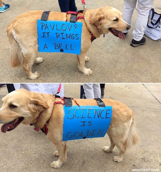 4.24.17 Dogs Who Marched for Science10a