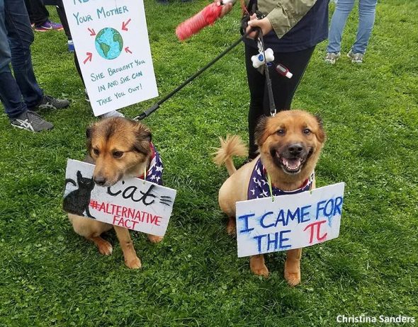 4.24.17 Dogs Who Marched for Science12