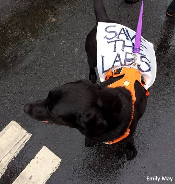 4.24.17 Dogs Who Marched for Science17