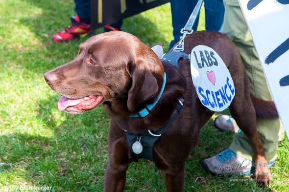 4.24.17 Dogs Who Marched for Science23