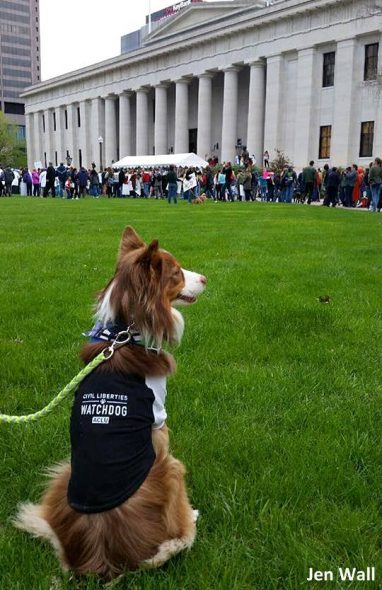 4.24.17 Dogs Who Marched for Science25