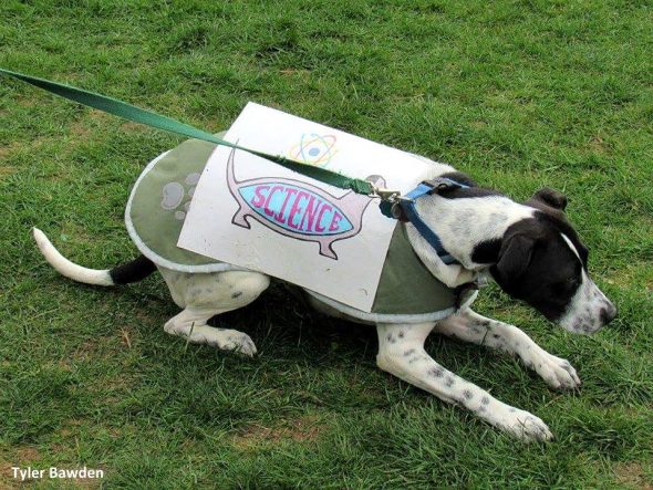 4.24.17 Dogs Who Marched for Science26