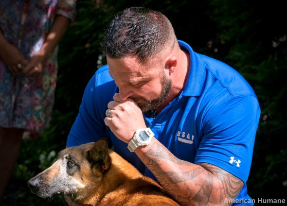 5.1.17 Airman Reunites With Military Dog After Three Years Apart1 1