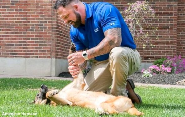 5.1.17 Airman Reunites With Military Dog After Three Years Apart4