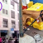 5.16.17 Heroic Passersby Save Starving Dog Who Jumped Out a Window4