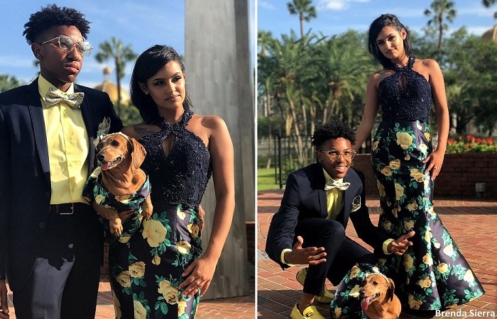 5.3.17 The Cutest Dog You’ll Never See at Prom16