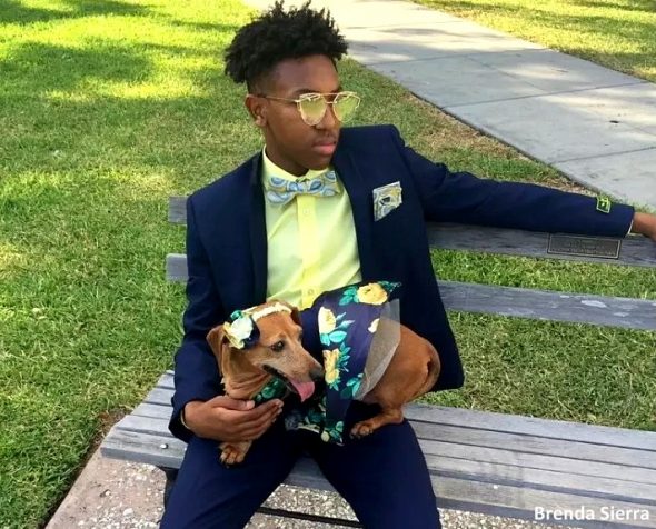 5.3.17 The Cutest Dog You’ll Never See at Prom6