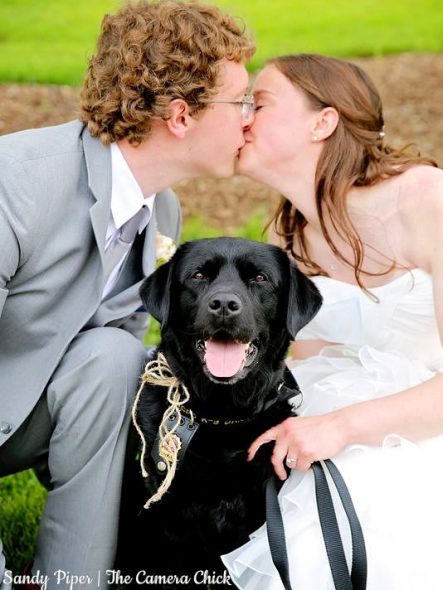 5.31.17 Couple Makes Foster Dog Their Ring Bearer2