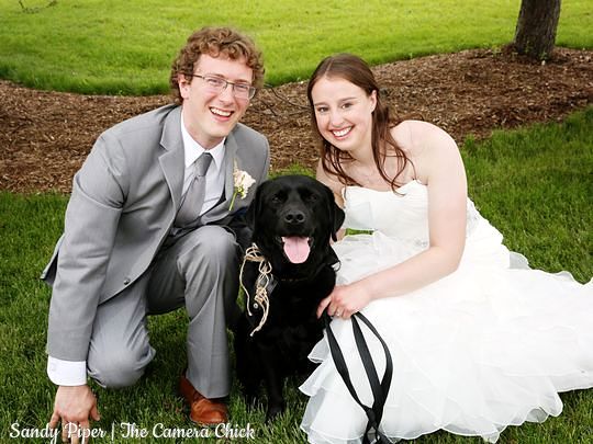 5.31.17 Couple Makes Foster Dog Their Ring Bearer3