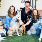 5.8.17 Radio Host Has Found Families for Over 500 Homeless Dogs4