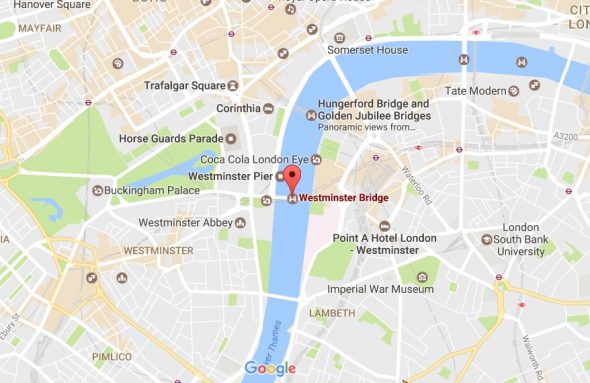 6.12.17 Good Samaritan Jumps into Thames to Save Dog2