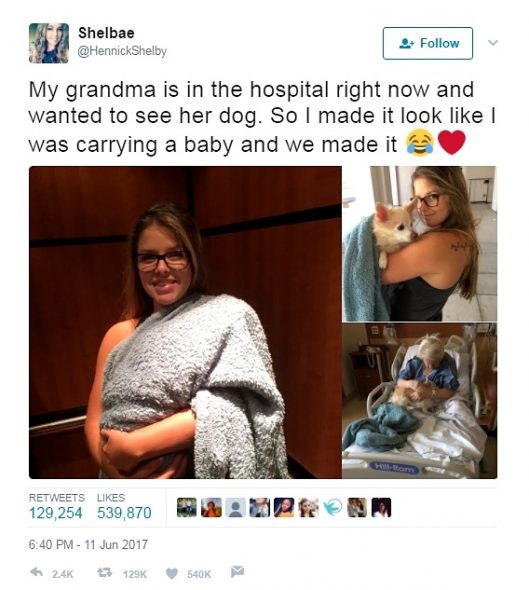 6.14.17 Woman Sneaks Her Sick Grandmas Dog into Hospital1