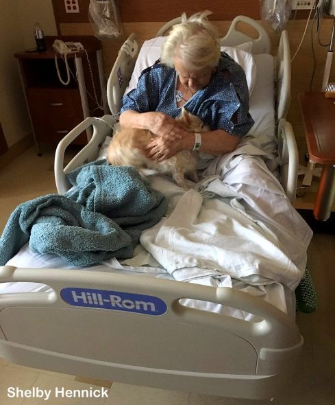6.14.17 Woman Sneaks Her Sick Grandmas Dog into Hospital4