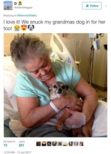 6.14.17 Woman Sneaks Her Sick Grandmas Dog into Hospital8