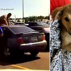 6.22.17 Puppy Rescued from Hot Car6