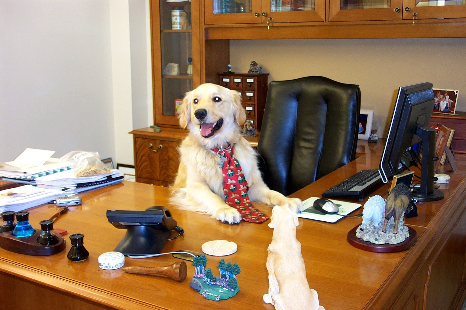 Today Is “National Take Your Dog to Work Day” LIFE WITH DOGS