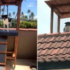 6.27.17 Dad Builds Dog a Crows Nest5