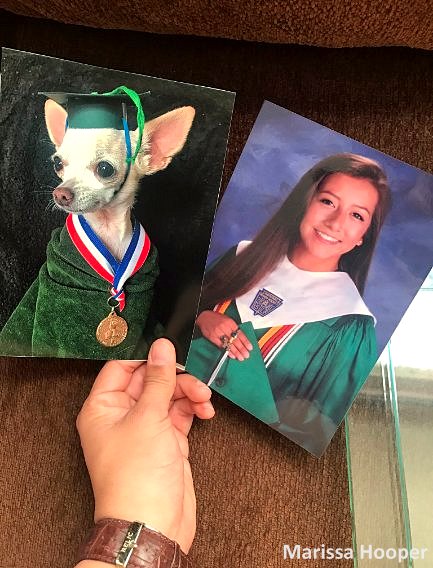 6.28.17 Daughter Swaps Out Family Photos for Ones of Dog3