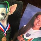 6.28.17 Daughter Swaps Out Family Photos for Ones of Dog7