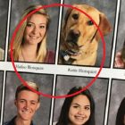 6.5.17 Yearbook dog FEAT
