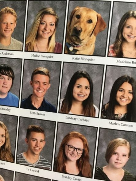 6.5.17 Yearbook dog1