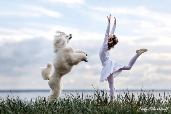 7.13.17 Russian Ballet Dancing Dogs0