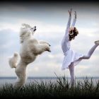 7.13.17 Russian Ballet Dancing Dogs11