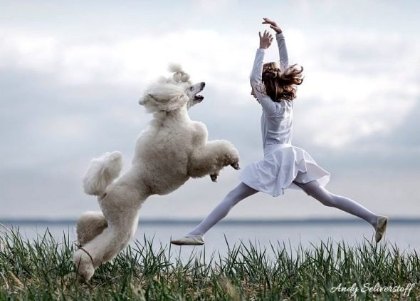 7.13.17 Russian Ballet Dancing Dogs3