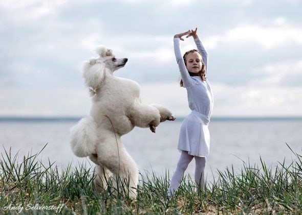 7.13.17 Russian Ballet Dancing Dogs5