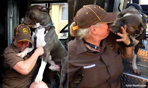 7.13.17 UPS Driver Adopts Pit Bull After His Mom Dies0
