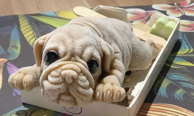 puppy shaped ice cream