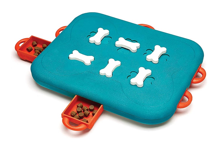 Outward Hound Puzzle Dog Toy