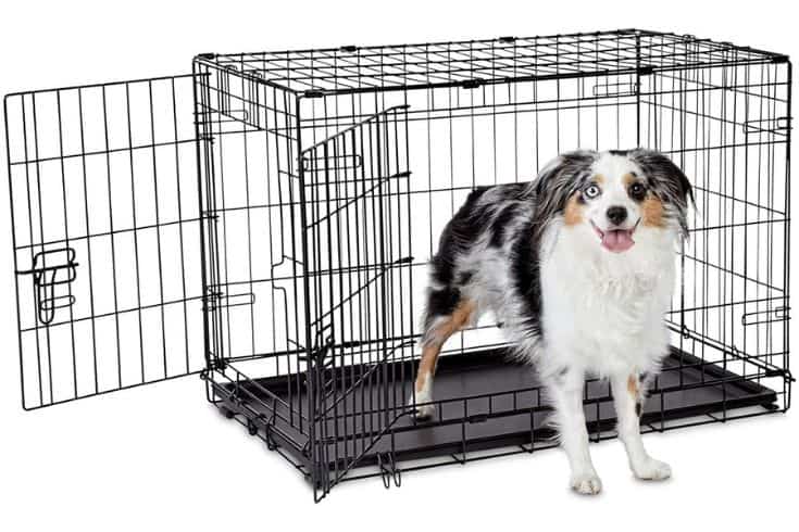 2. Petco Brand – Animaze 2 Door Folding Dog Crate