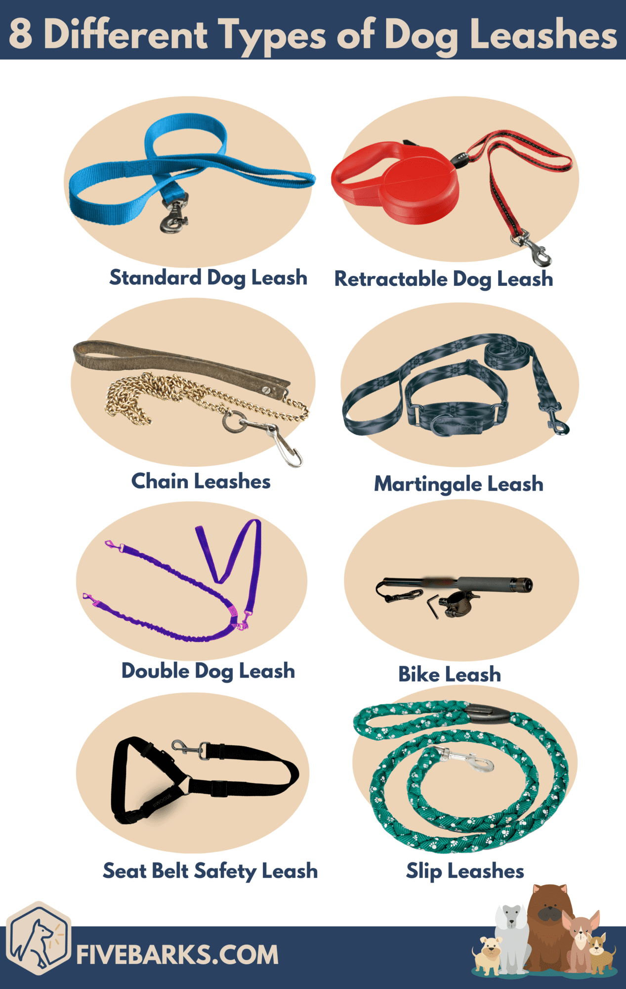 8 Different Types of Dog Leashes