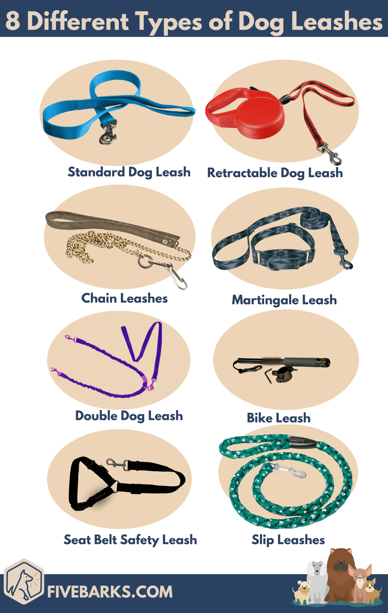 Different Types of Dog Leashes: How To Pick The Best Dog Training Leash?