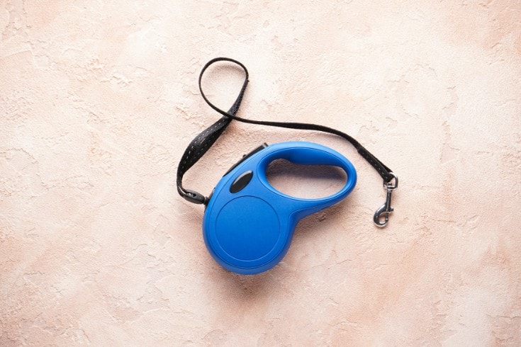 Blue retractable dog leash a beige background