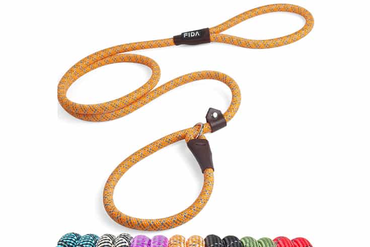 Dog best sale leash types