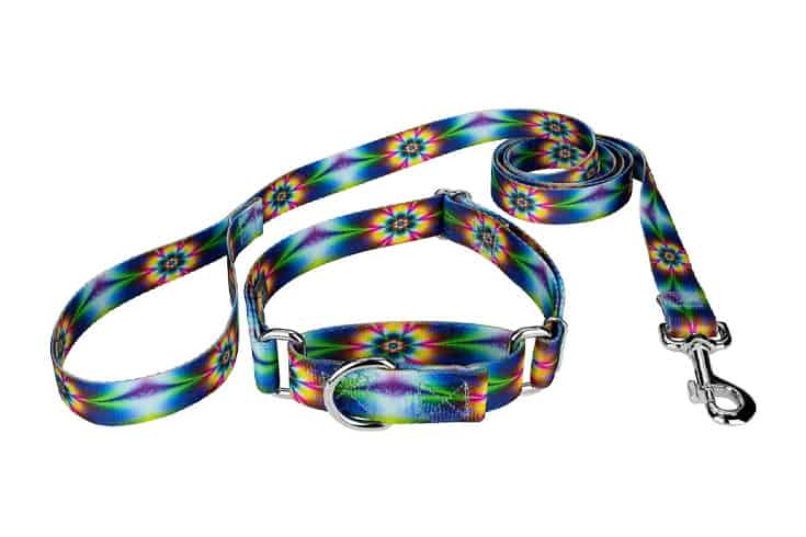 Flowers Polyester Martingale Dog Collar leash