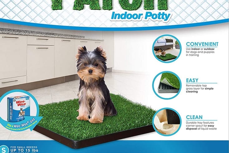 Four Paws Wee Wee Artificial Grass Dog Training Puppy Pee Pad