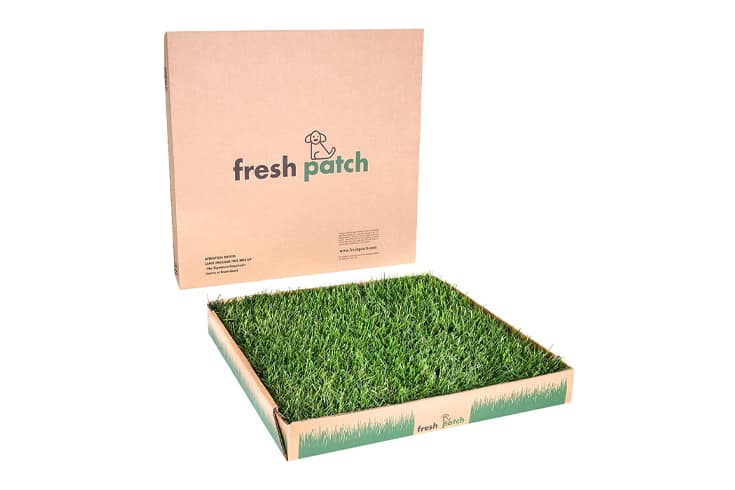 Fresh Patch Disposable Dog Potty with Real Grass