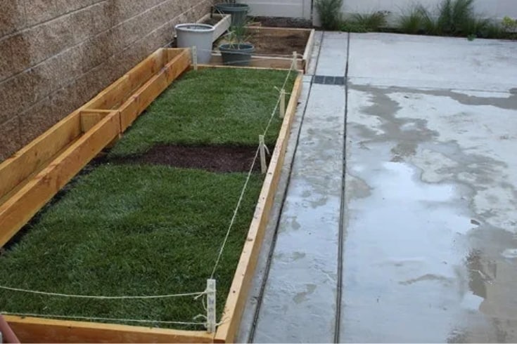 Grass Planter