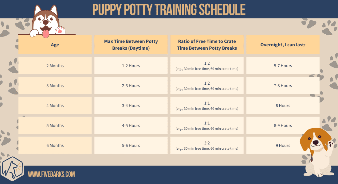 Puppy Potty Training Schedule