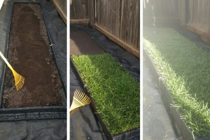 Diy clearance pet potty