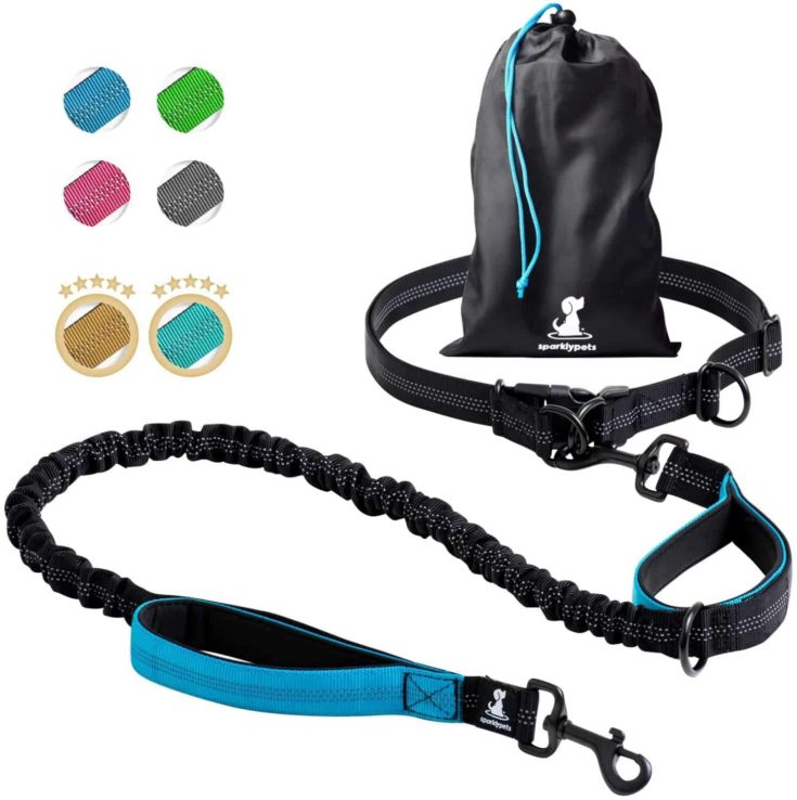 SparklyPets Hands Free Dog Leash for Medium and Large Dogs e1647523116176